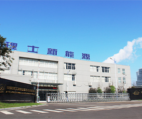 ANHUI LEOCH RENEWABLE ENERGY DEVELOPMENT CO.,LTD	